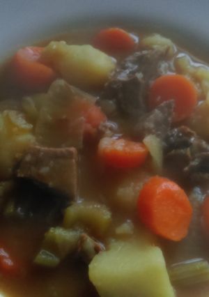 A picture of Mandys Lamb Country Stew.