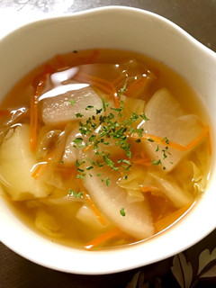 A picture of Gentle on the Stomach! Vegetable Soup as a Salad Substitute.