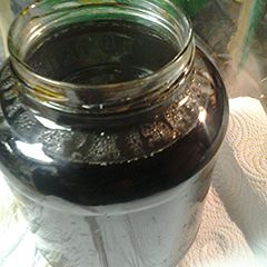 A picture of Ponzu.