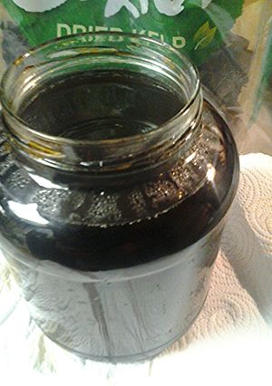 A picture of Ponzu.