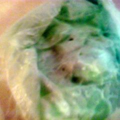 A picture of cool whip frosting dyed with kool aid.