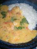 A Brazilian Dish, Bobó de Camarão