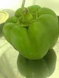 Stuffed peppers with tuna salad