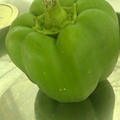 A picture of Stuffed peppers with tuna salad.