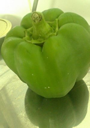 A picture of Stuffed peppers with tuna salad.
