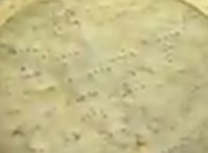 Una foto de Masa brisée o quebrada para tarta salada