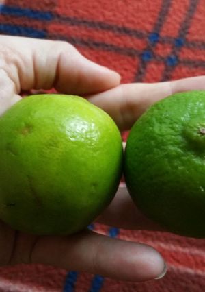A picture of The juicier fruit?.