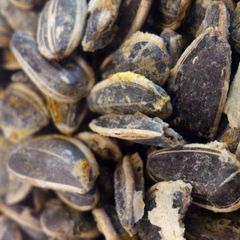 A picture of Roasted Sunflower Seeds.