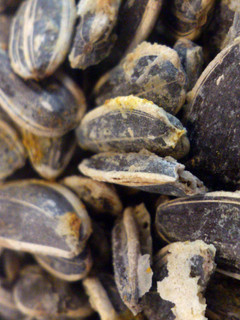 A picture of Roasted Sunflower Seeds.