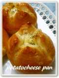 Potato Cheese Bread