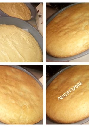 A picture of Plain Vanilla Cake.