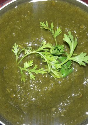 A picture of Coriander Chutney.