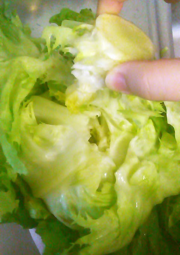 A picture of How to Remove the Stalk from Lettuce and Keep it Fresh.