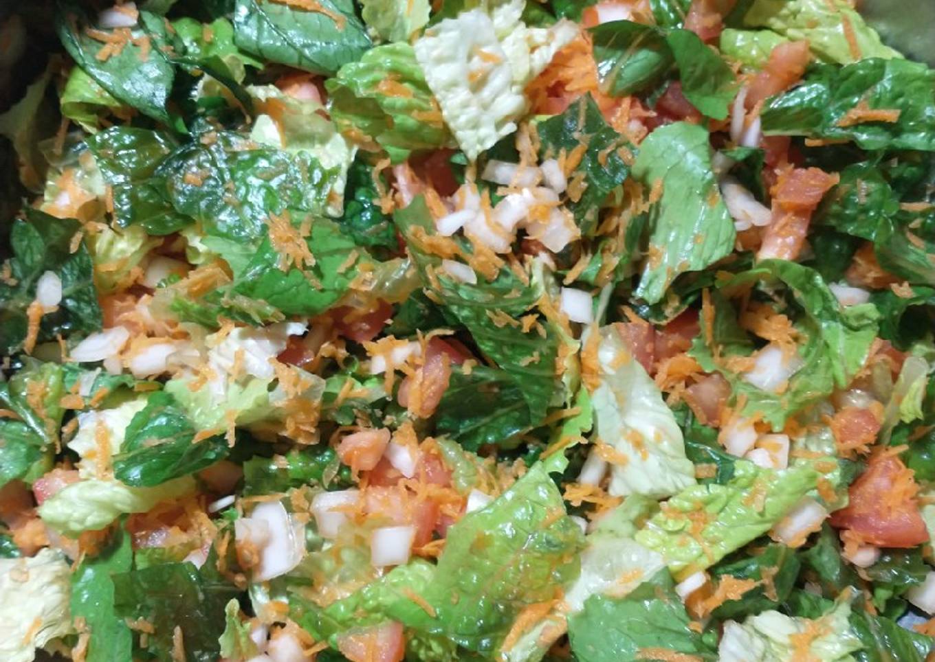 Romaine lettuce Salad