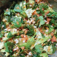 A picture of Romaine lettuce Salad.