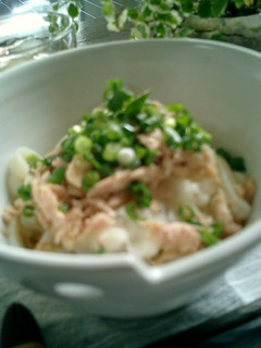 A picture of Cool Udon Noodles With Tuna and Grated Daikon Radish.