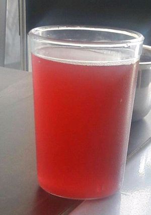 A picture of Watermelon Cooler.
