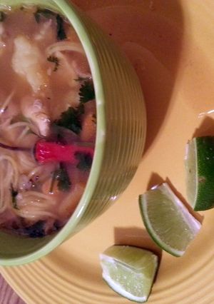 A picture of Spanish home-made Chicken Noodle Soup (sopa de Pollo).