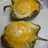 Stuffed breakfast peppers