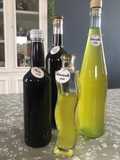 Rosoli...che passione: IL MIRTO