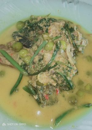 Foto resep Gulai pindang ikan tongkol campur pakis