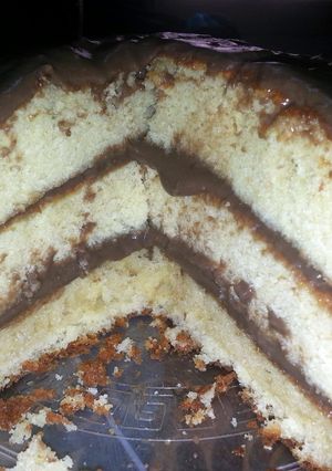 A picture of cake boss sponge cake.
