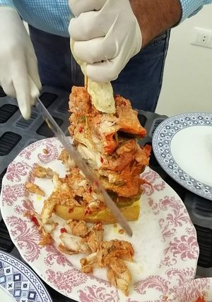 A picture of Mexican-Style Chicken Shawarma 🇲🇽 🍗.