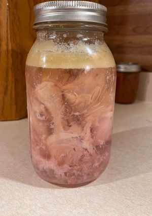 A picture of Canned Chicken Legs.