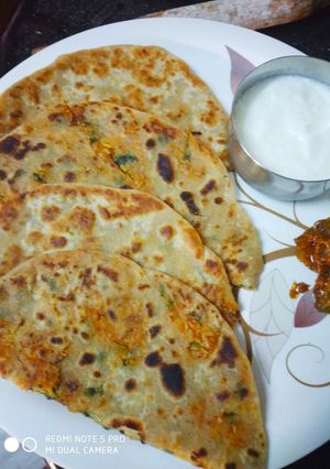 A picture of Mauli Ka paratha.