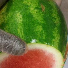 Tip on picking out sweet ripe watermelon A picture of Tip on picking out sweet ripe watermelon.
