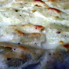 A picture of Stuffed Italian Shells with White Sauce.