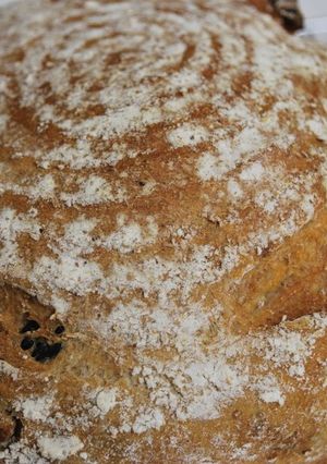 A picture of Our Family's Tried-and-True Pain de Campagne.