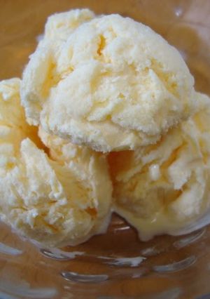 A picture of Rich Vanilla Ice Cream - Whole Egg Version.