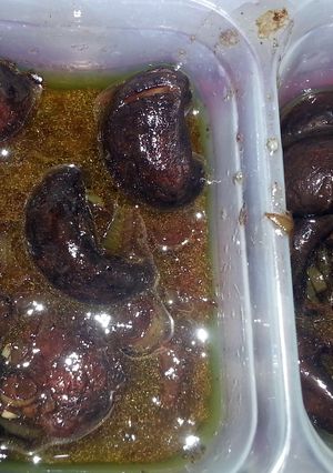 A picture of Balsamic mushrooms.