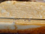 Sémola con leche y caramelo