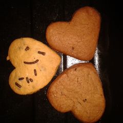 A picture of Co ookie ^3^.