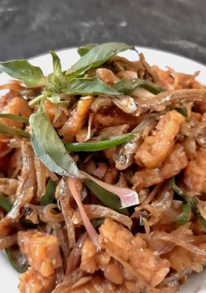 Foto resep Tempe teri kecombrang cabe ijo