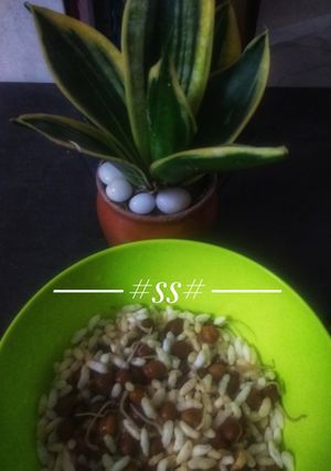 A picture of "Boiled sprouted Chickpeas"(Chana) #Cookpad.