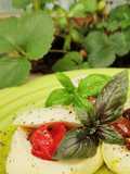 Scrigno di mozzarella con pomodorini ed origano