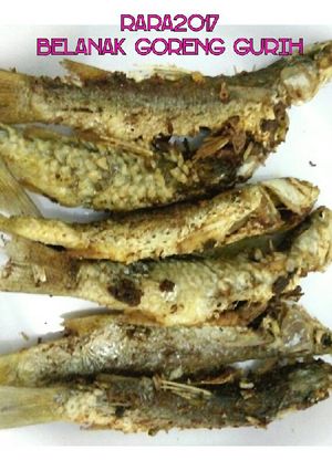 Foto resep Belanak Goreng Gurih