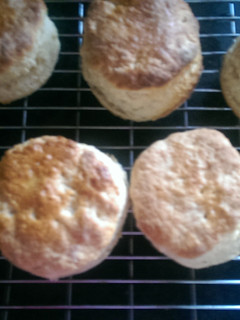 A picture of Mandys sweet scones/biscuits.