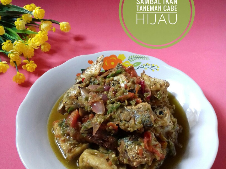 Resep: Sambal Ikan Taneman Cabe Hijau Irit Anti Gagal