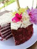 Red velvet