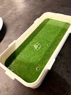 Una foto de Crema de espinacas en la MCC