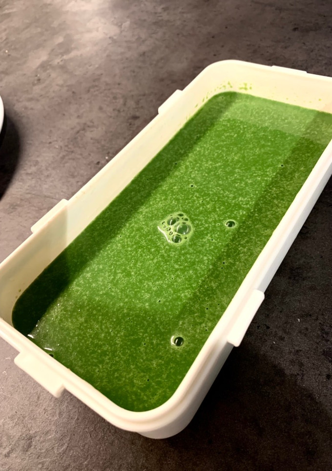 Una foto de Crema de espinacas en la MCC