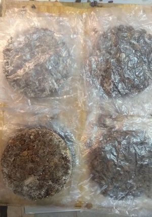 Una foto de Hamburguesas de lentejas