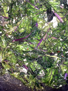 A picture of Sauteed kale.