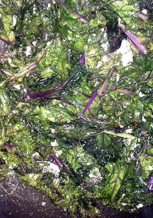 A picture of Sauteed kale.