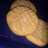 Easiest Peanut Butter cookies!