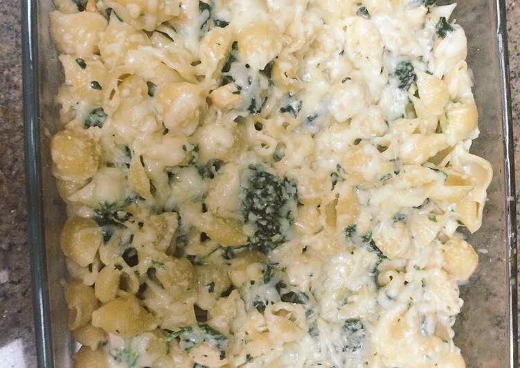 Steps to Prepare Quick Cheesy Chicken Alfredo Shells W Spinach &#34;casserole&#34;